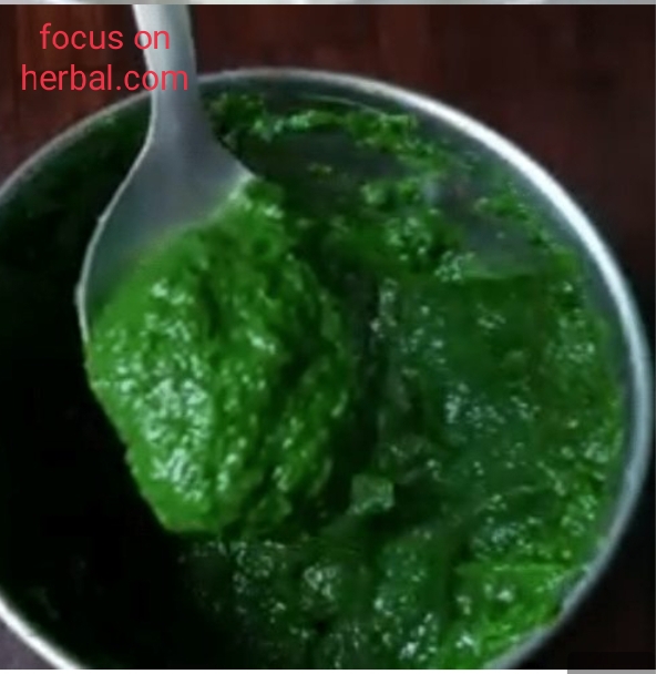 Palak paneer paratha recipe 