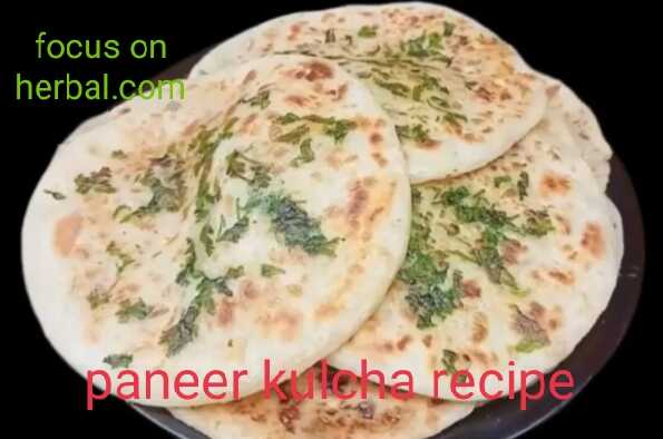 Stuffed paneer kulcha recipe in hindi 