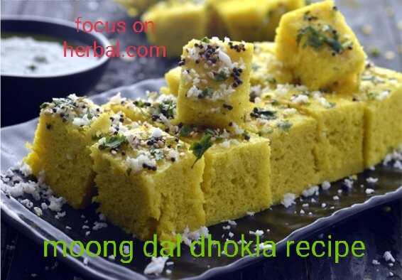 Gujrati moong dal dhokla recipe in hindi