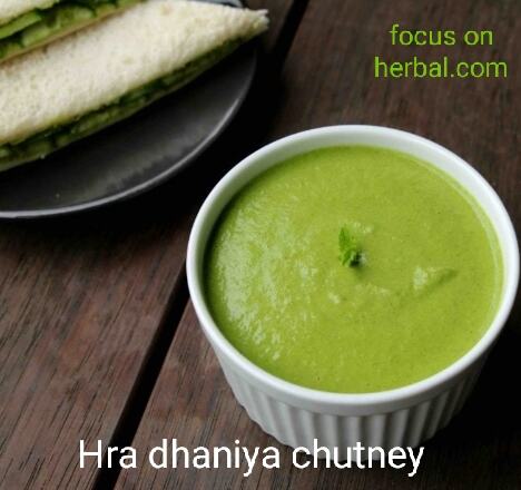 Dehati style hra dhaniya chutney recipe 