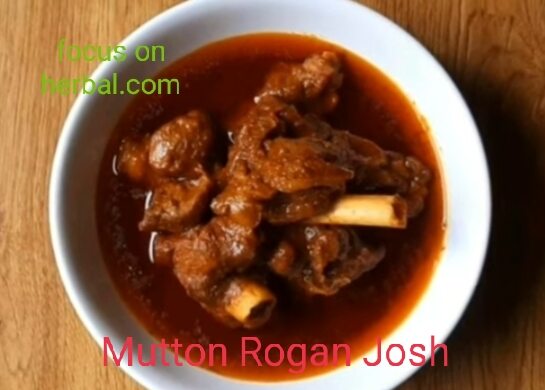  kashmiri mutton rogan Josh 