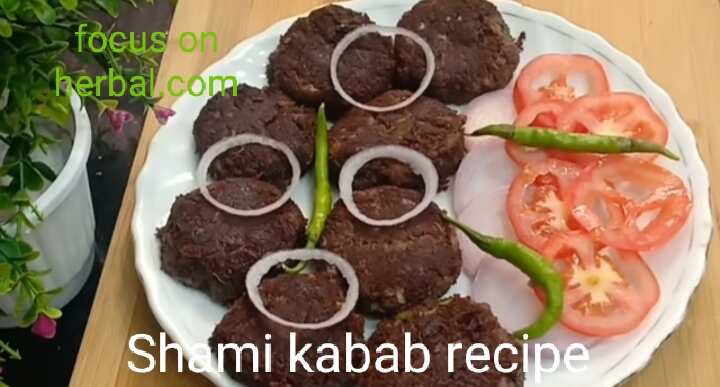 Shami kabab recipe 