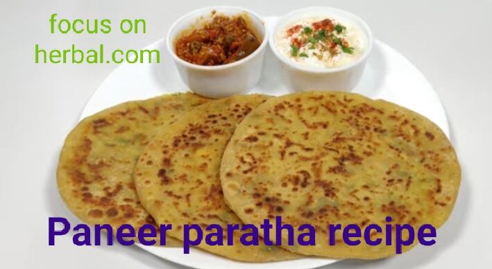 Paneer paratha recipe 