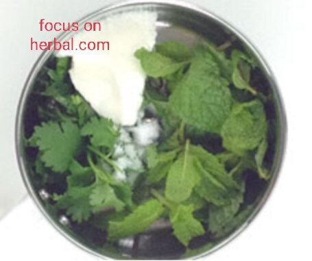 pudina raita recipe