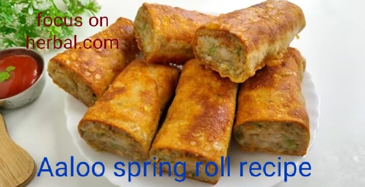 Aaloo spring roll recipe 