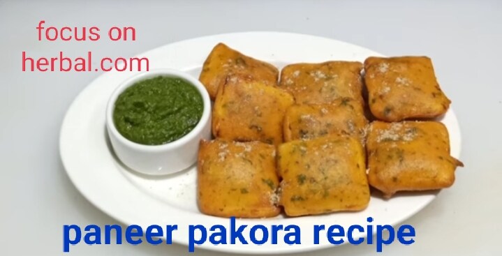 Paneer pakora recipe 