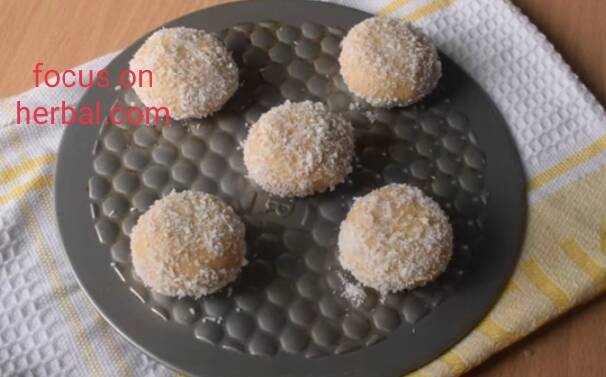 Wheat flour coconut cookies 