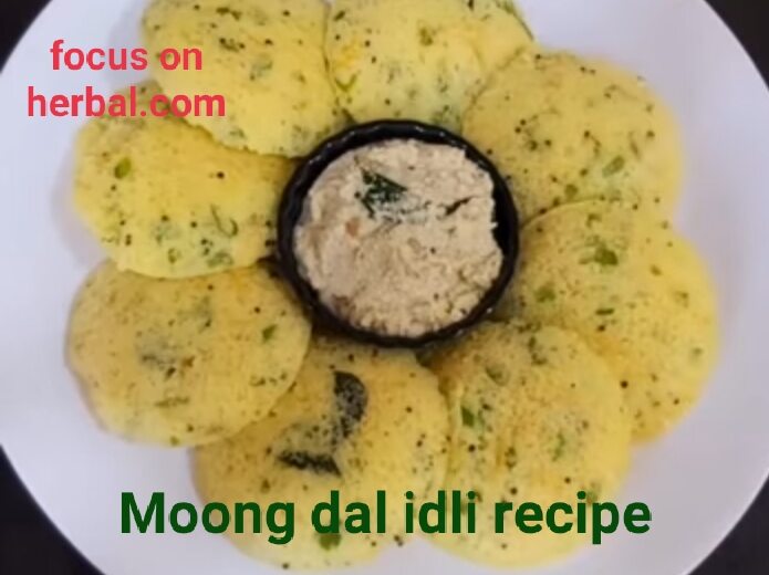 Moong dal idli recipe 